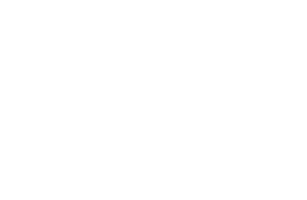 SEKI Party